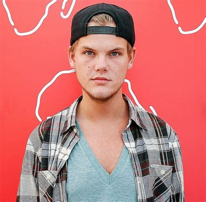 Avicii Biography: Age, Cause Of Death, Net Worth, Songs, Girlfriend, Parents, Brother