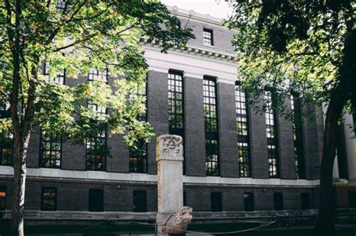 Did Jeff Goldblum Go To College?