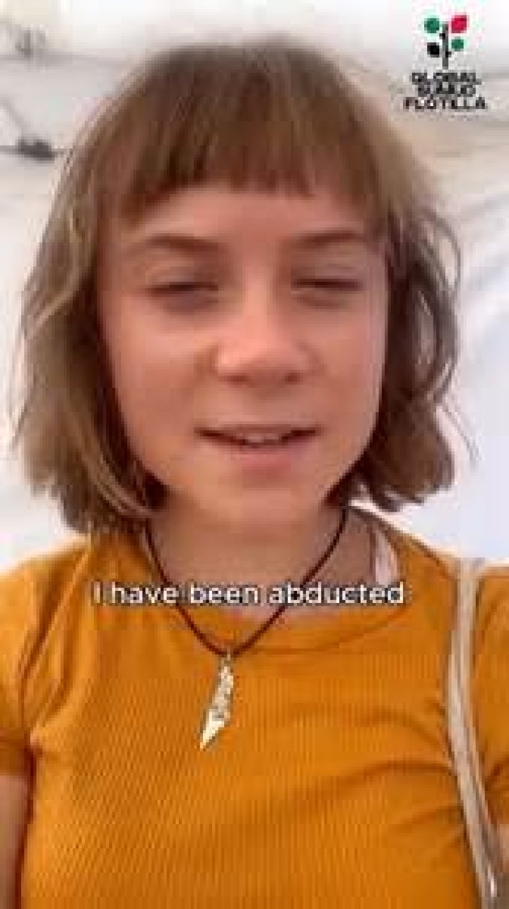 Does Greta Thunberg Have TikTok?