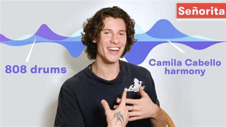 Does Shawn Mendes Write His Own Songs?