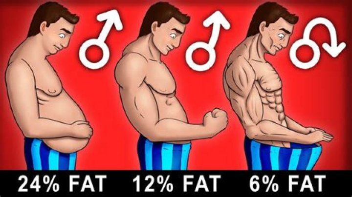 Gravity Transformation - Fat Loss Experts video statistics