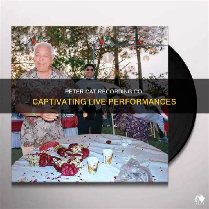 Hire Peter Cat Recording Co. for a Corporate Event or Performance Booking.