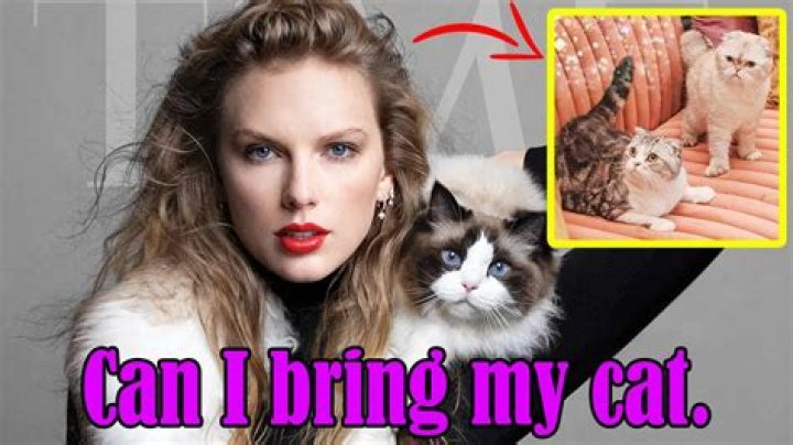 Is Taylor Swift In Cats?