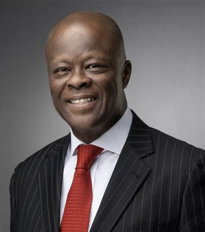 Olawale Wale Edun Biography: Age, Wife, Net Worth, State Of Origin, LinkedIn, Children, Profile, Ministerial Role