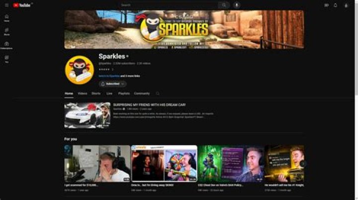 Sparkles Youtuber overview
