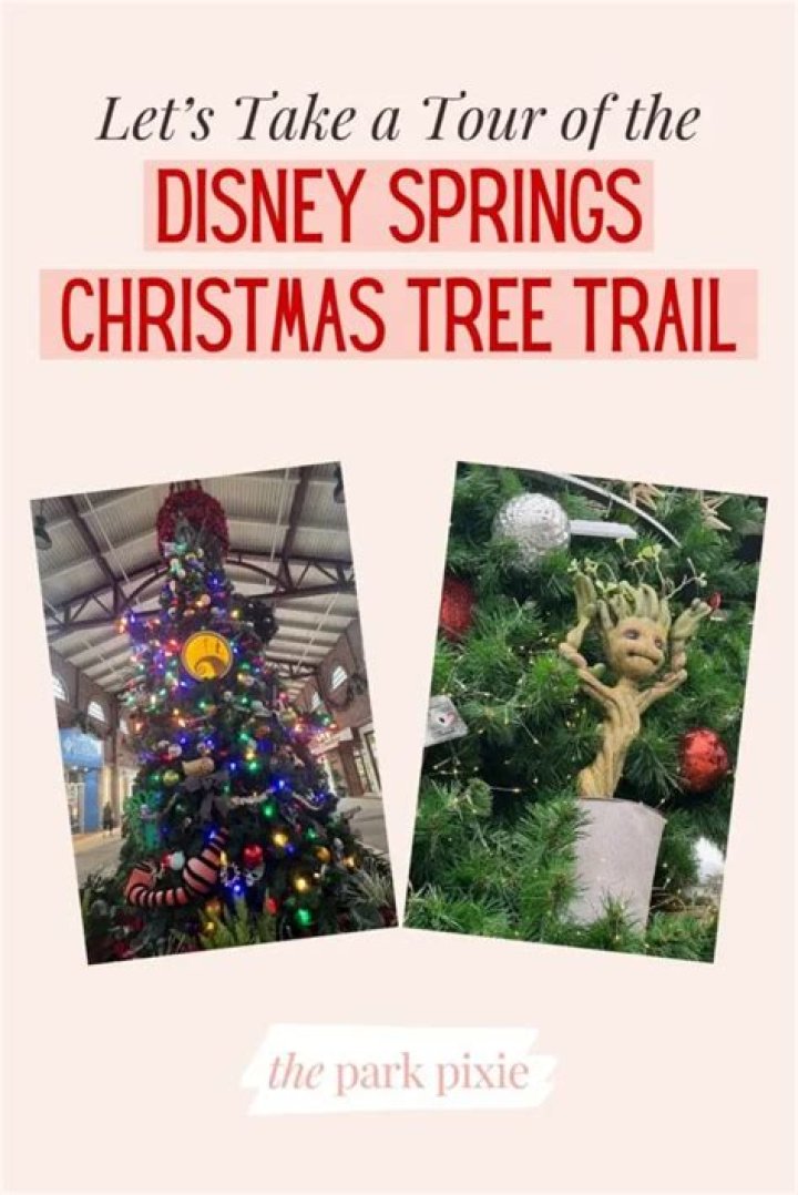 The Disney Springs Christmas Tree Trail
