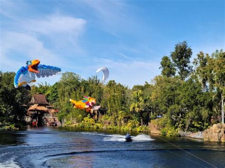 The Wonder and Whimsy of Disney KiteTails