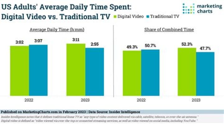 Thogden video statistics