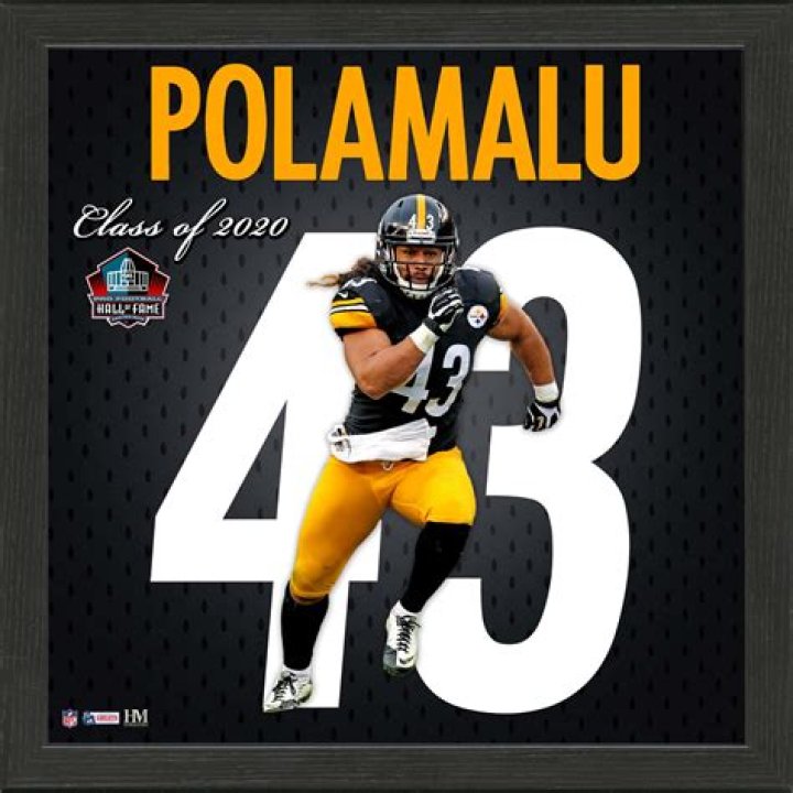 Why & When Did Troy Polamalu Retire?